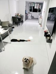 Blk 374 Clementi Avenue 4 (Clementi), HDB 3 Rooms #555915831
